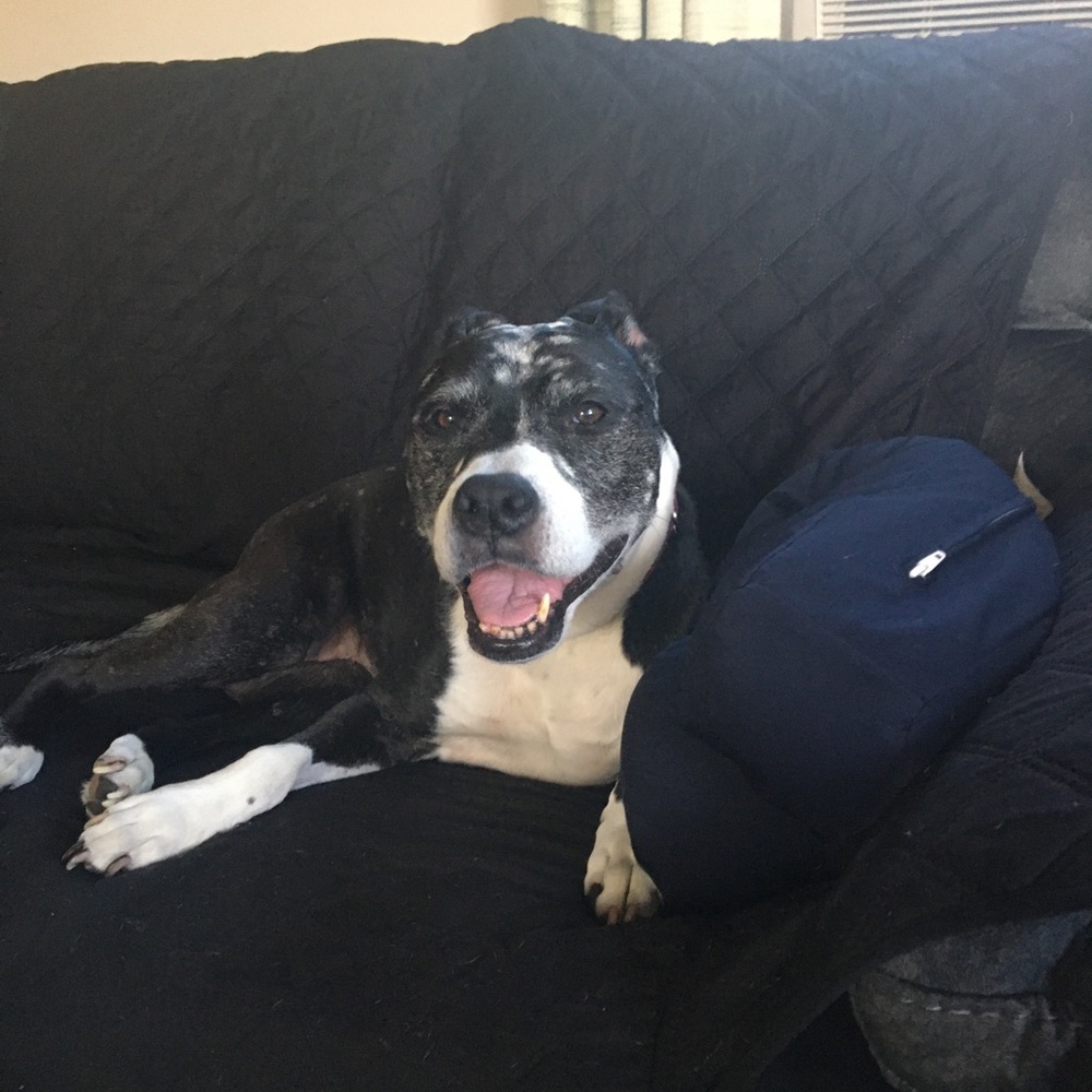 Meet your Posher, Sherrie